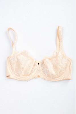 Бюстгальтер 